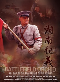 职场同事与搭档