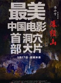 亚洲国产成a人v在线观看
