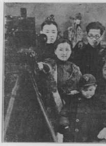 张柏芝国产一区在线观看